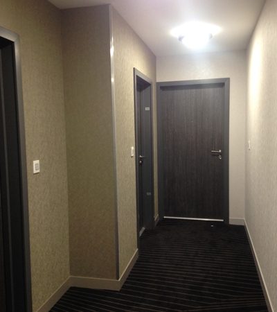 PREMIER | BRUSHED STEEL BST010